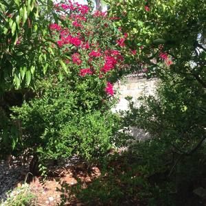 Meet your Posher, Pierre